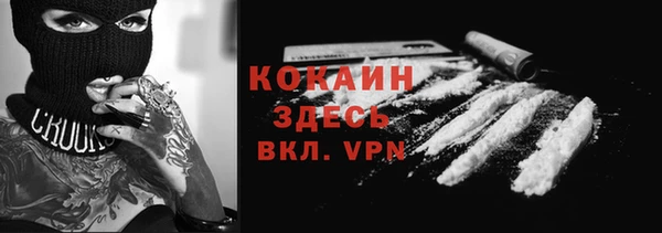 гидра Наволоки