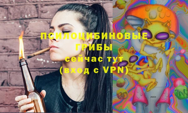 apvp Навашино