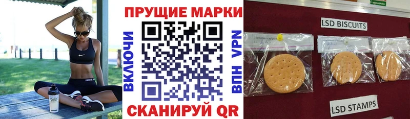 где найти наркотики  Катав-Ивановск  Марки 25I-NBOMe 1500мкг 