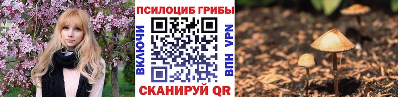 ОМГ ОМГ ссылка это как зайти Катав-Ивановск Галлюциногенные грибы мицелий дарнет шоп